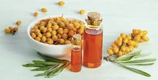Sea Buckthorn Oil